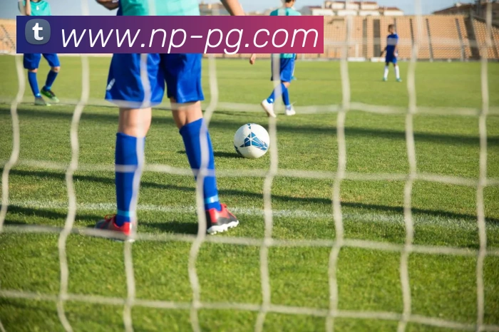 pg电子平台生态图